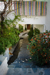 Similar image 21899527