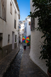 Similar image 21899651