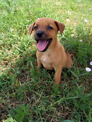 Similar image 21898894