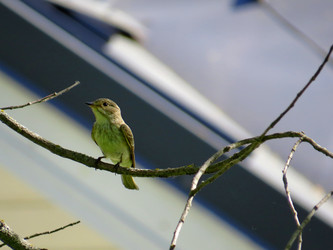 Similar image 21906629