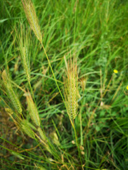 Similar image 21899282