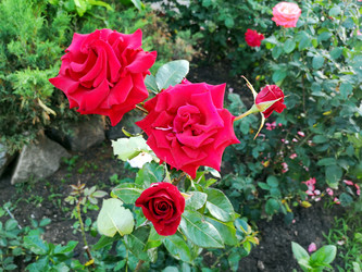 Similar image 21898899