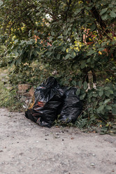 Similar image 21907799