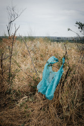 Similar image 21907801