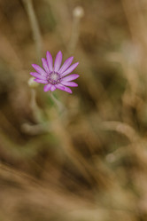 Similar image 21907802