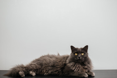 Similar image 21907805