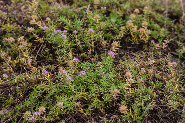 Similar image 21907806