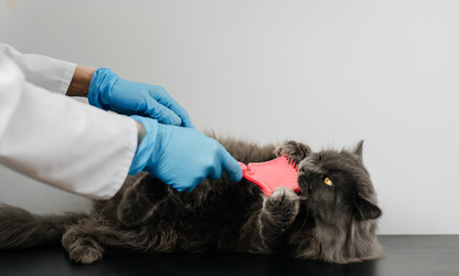 Similar image 21907807