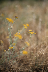 Similar image 21907808