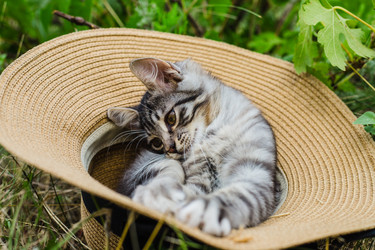 Similar image 21907812