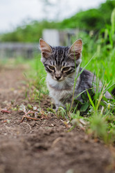 Similar image 21907814