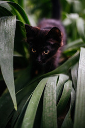 Similar image 21907815