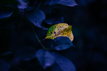 Similar image 21907817