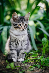 Similar image 21907821