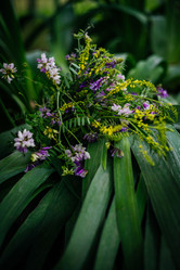 Similar image 21907841