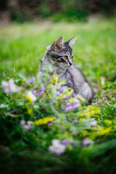 Similar image 21907842