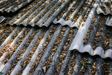 Similar image 21907844