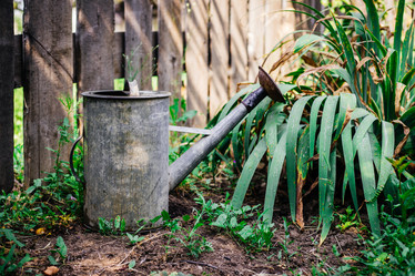 Similar image 21907846