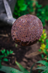 Similar image 21907847