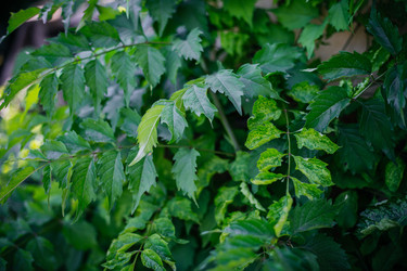 Similar image 21907848