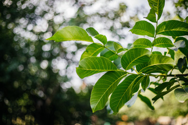 Similar image 21907849