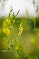 Similar image 21907850