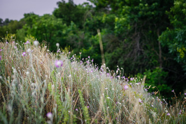 Similar image 21907852