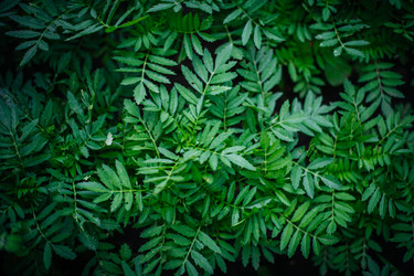 Similar image 21907853