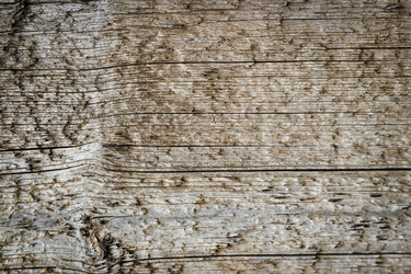 Similar image 21907855