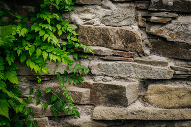 Similar image 21907859