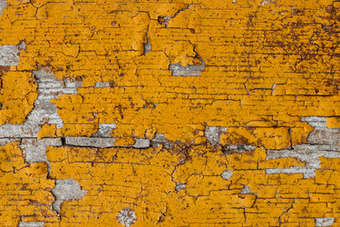 Similar image 21907861