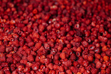 Similar image 21907865