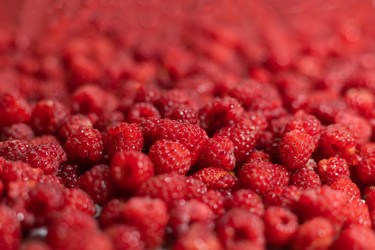 Similar image 21907866