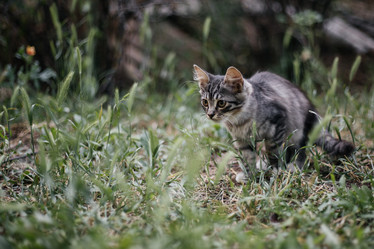 Similar image 21907868