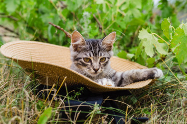 Similar image 21907870