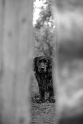 Similar image 21907874