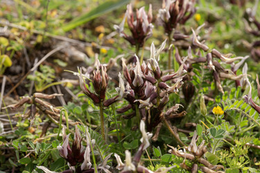 Similar image 21898915