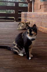 Similar image 21899538