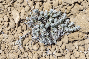 Similar image 21899540