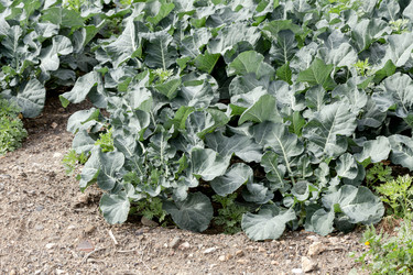 Similar image 21898917