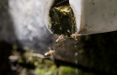 Similar image 21898921