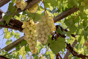 Similar image 21899545