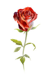 Similar image 21898922