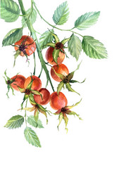 Similar image 21898924