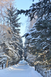 Similar image 21899567