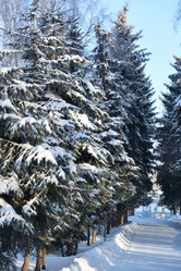 Similar image 21899568