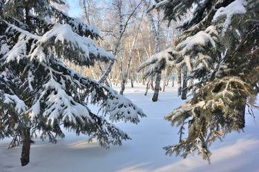 Similar image 21899569