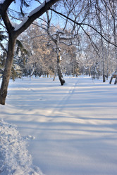 Similar image 21899570