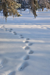 Similar image 21899571