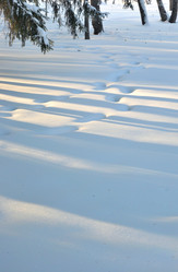 Similar image 21899573